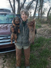 Load image into Gallery viewer, Mule Original Plain Chaps - Briarproof - No Liner - Brown