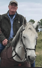 Load image into Gallery viewer, Mule Briarproof Chaps for Horses or Mules